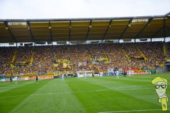 20240817-014-Holstein-Kiel-H