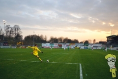 20180411 - 007 - SV Rödinghausen