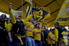 20170408_-_RÃ¶dinghausen_-_018