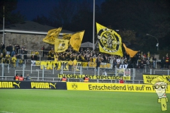 20191023-016-BVB-II-A