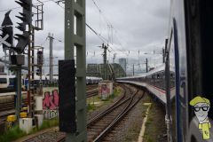 20240525-001-Pokalfinale